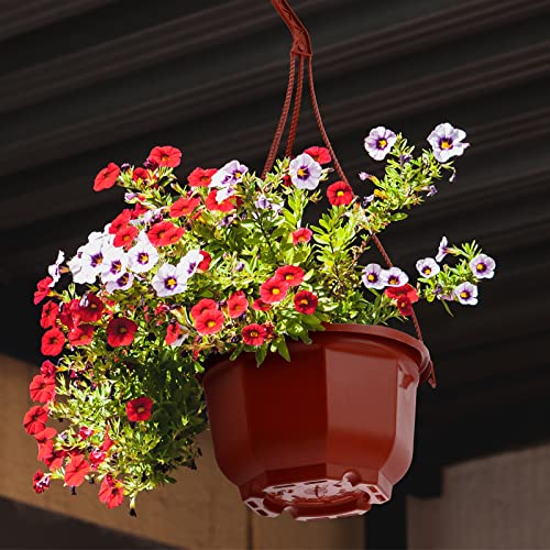 Roshtia 24 Pcs Hanging Planter Pot with Hook, Brown, 6.7 Inch - color: Brown, size: 6.7 Inch