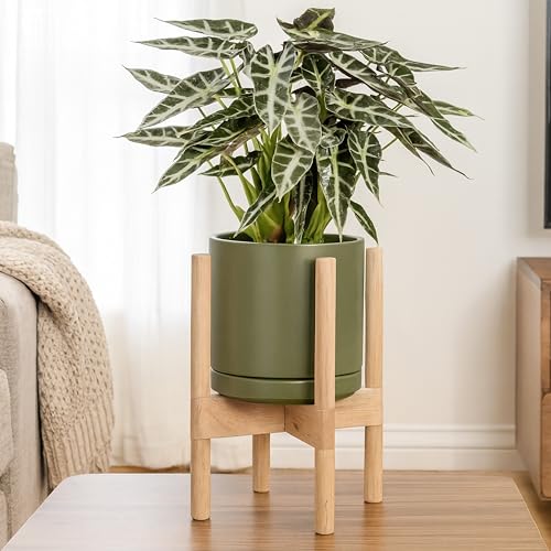 D'vine Dev Ceramic Pot with Natural Wood Stand, Olive, 8 in, 55-B-N-J - color: Olive Pot + Natural Stand, size: 8 Inch