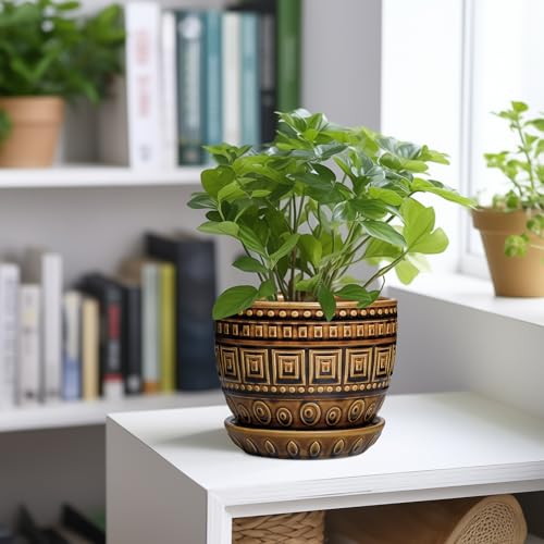 G EPGardening Succulent Pot 5.5 Inch - Ceramic Plant Pot for Indoor Plants Outdoor, Round Boho Planter with Drainage Hole and Saucer, Gifts for Plant Lovers, Office Home Garden Decor, Brown - color: Palindrome Brown