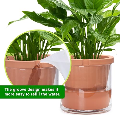 D'vine Dev Self Watering Terracotta Planter Pot, 10 in, 37-X-D-1 - color: Terracotta, size: 10 Inch