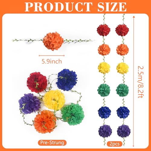 Rainbow Party Decorations Colorful Tissue Paper Flowers Pom Pom with Leaf Ribbon Hanging Garland Streamer for Multi-Color Birthday Wedding Shower Carnival Clown Fiesta Festival Party Supplies - color: Rainbow