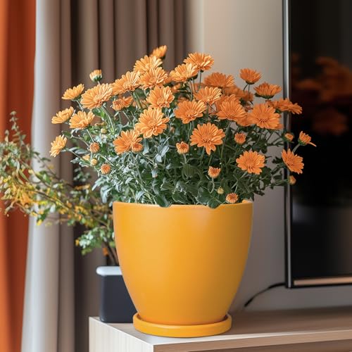 Ceramic Plant Pot - 8 Inch Planter for Indoor Outdoor Plants, Round Flower Pots with Drainage and Tray, Home Office Decor, Orange - color: Glossy Orange, size: 8 Inch