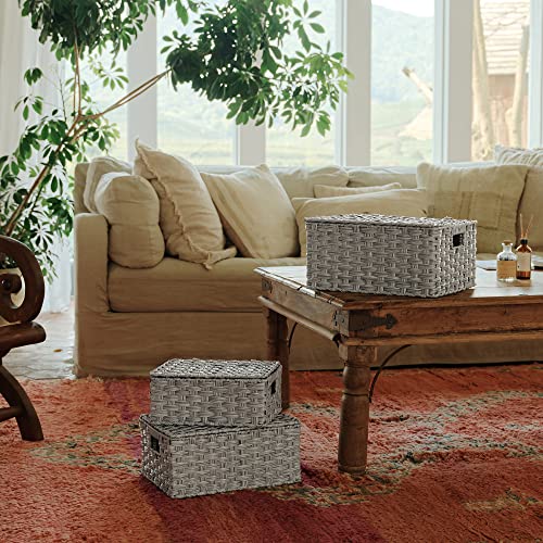 GRANNY SAYS Wicker Basket with Lid, Wicker Storage Baskets for Shelves - color: Gray, size: 3 Pack