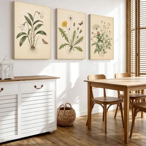 Antique Vintage Botanical Canvas Wall Art Set of 3, Old Paper Wildflower Dandelion Daffodil Butterfly Prints, Farmhouse Neutral Floral Wall Decor, 16x24 Inch framed Plant Posters for Home Decor - color: 02, size: 16" L x 24"W