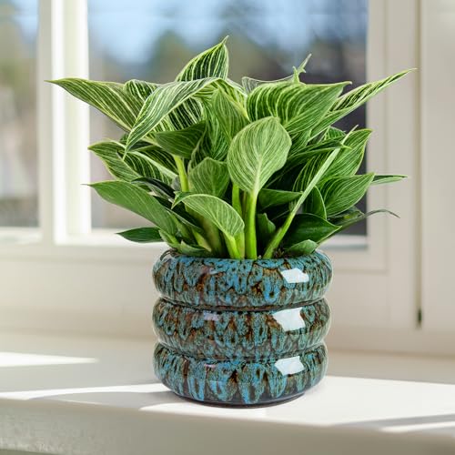 Ceramic 6 inch Plant Pot - Planter for Indoor Plants with Drainage Hole - color: Blue-s