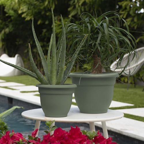 Bloem Ariana 8" Plastic Self-Watering Planter, Basil, 4-Pack - color: Basil, size: 8" (Pack of 4)