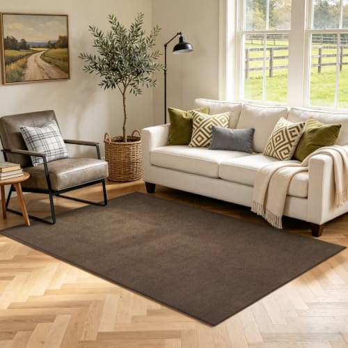 3x5 Beige Brown Solid Area Rug Washable Non-Slip Soft for Bedroom Kitchen - color: 13 Beige Brown Solid, size: 3' x 5' (Rectangular)