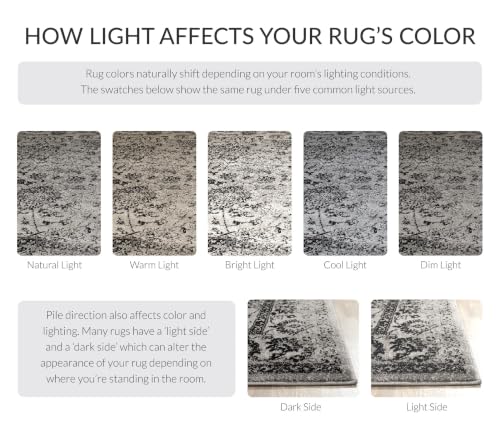 SAFAVIEH Adirondack Accent Rug 2x3, Distressed Grey & Black ADR109B - color: Grey/Black, size: 2' x 3' (Rectangular)