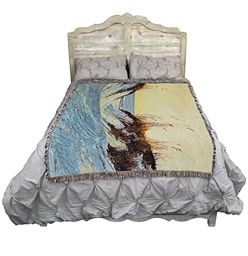 Pure Country Weavers Dune Blush Blanket by Roger Bansemer - Coastal Ocean Beach Gift Tapestry Throw Woven from Cotton - Made in the USA (72x54) - color: Dune Blush