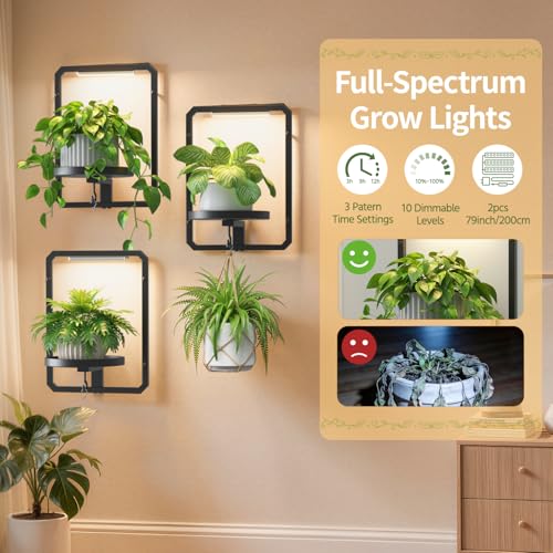 LASZOLA Plant Picture Frame Holder Shelf Wall with Lights, 3 Pcs Black - color: Glossy Black with Lights, size: 3