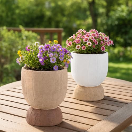 DREAMLOOM 6.4Inch Coarse-Grained Terracotta Pots for Succulents, 2Pcs Flower Planters with Drainage Holes, Bonsai, Cactus Aloe, Herbs, Orchid, Rustic Color - color: Two-tone