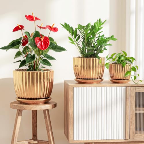 Plant Pots,Ceramic Flower Pots with Drainage Holes & Saucers Set of 3(Gold) - color: Gold