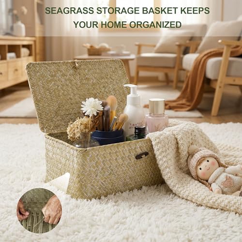 Nonam Wicker Storage Basket with Lid, Seagrass Shelf Basket Set of 2, White - color: White-S+M