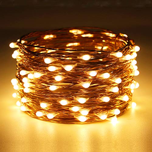 RUICHEN Dimmable Fairy Lights Plug in Copper Wire 33 Ft 100 LED, Warm White - color: Warm White