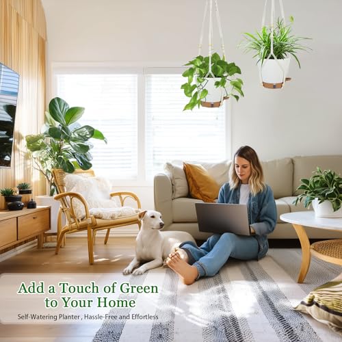 Hanging Planter for Indoor Plants 8 Inch, 2 Pack, Self Watering - color: White, size: 8 inch