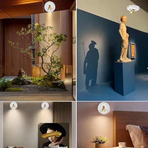 RAHAN 2Pack Battery Operated Spotlight, Picture Light with Remote Dimmable & Timer, Plants Uplighting Picture Lights for Paintings, Small LED Spot Display Lights for Wall Frame Artwork Dartboard - color: White-G