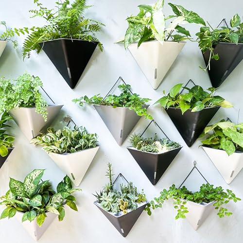 LaLaGreen Wall Planter for Indoor (12in, 4 Pack) Large Self Watering Plants - color: Black X 4 Pack