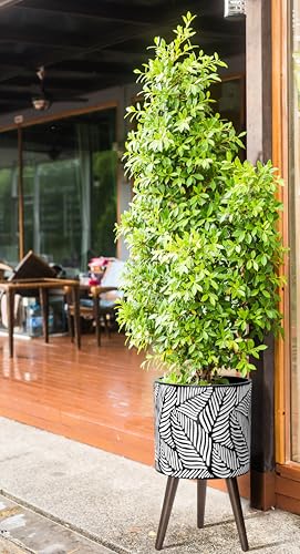 D'vine Dev 12 Inch Planter Pot with Wood Stand, White/Grey, 88-L-C-7 - color: White/Grey, size: Large