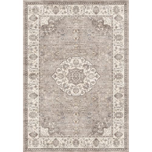 HY HAOYUNLAI Washable 2x3 Entryway Area Rug Non-Slip Carpet Brown - color: Brown, size: 2' x 3' (Rectangular)