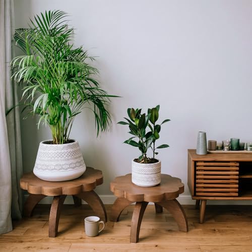 Novabright 2 Pcs Scalloped Short Plant Stand Small Wood Plant Stool Riser