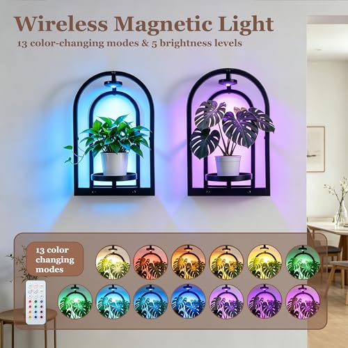 Hyindoor Wall Plant Holder with Grow Light & Remote Control, Wall planters for indoor plants, Wall Mounted Hanging Planter, Plant Wall Shelf Frame for Living Room, 2 Pack