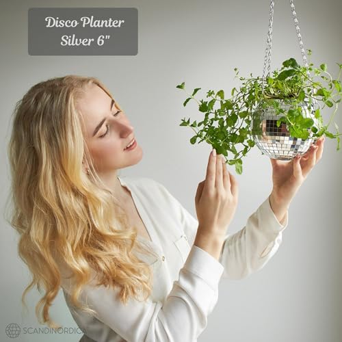 SCANDINORDICA Disco Ball Planter, Value Package, 6-inch Silver - size: 6" Silver