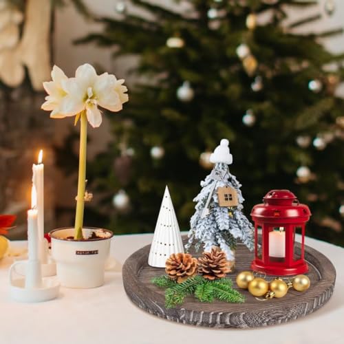 Round Decorative Wooden Serving Trays for Ottoman Coffee Table Tray Decor - color: Washedwhite, size: 12"