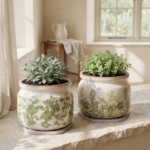 Cottage Ceramic Flower Pots with Decorative Saucer, Plant Lover Gifts - color: Cottage Fern, size: 7.7 in - w/ Saucer
