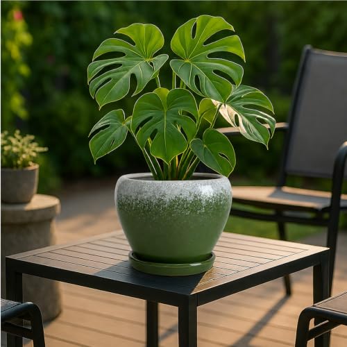 Deep Dream 8 Inch Plant Pots- Ceramic Pots for Plants with Drainage Hole and Saucer, Large Planter Pot for Indoor Plants Outdoor Decor, Blackish Green - color: Blackish Green, size: 8 Inch