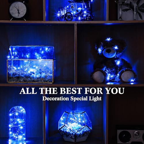 Hortsun 100 Pack Battery Operated Fairy Lights 7 ft 20 LED, Blue - color: Blue Light