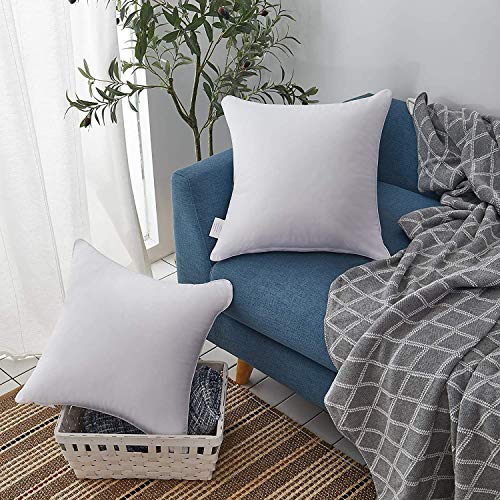 Leeden 24x24 Throw Pillow Inserts Set of 2-100% Cotton Cover - size: 24x24 Inch