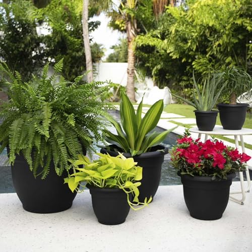 Bloem Ariana 20" Plastic Self-Watering Planter, Black, 2-Pack - color: Black, size: 20" (Pack of 2)