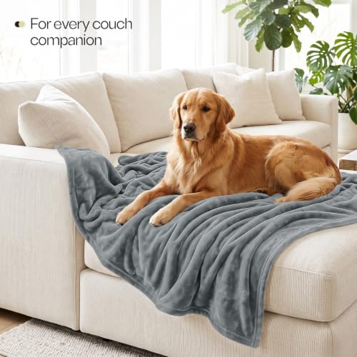 Soft Fleece Blanket for Bed Twin Size Cool Grey (60x80 Inch) - color: Cool Grey, size: Twin (60x80 Inch)