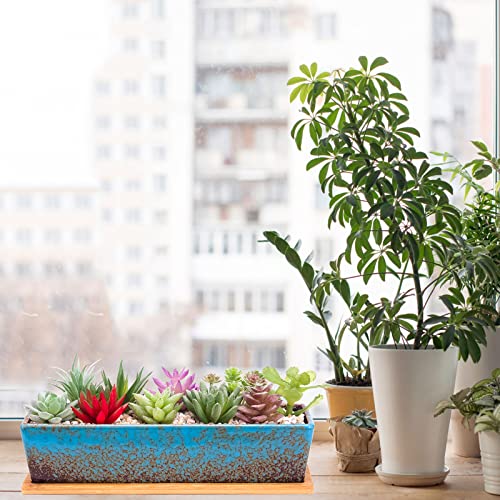 Succulent Pots - 12.1 Inch Large Succulent Planters Pots with Drainage Tray - color: Blue