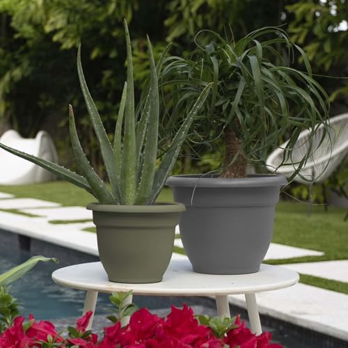 Bloem Ariana 8" Plastic Self-Watering Planter, Charcoal, 4-Pack - color: Charcoal, size: 8" (Pack of 4)