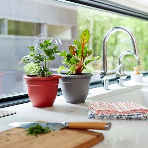 Bloem Ariana 6" Plastic Self-Watering Planter, Charcoal, 4-Pack - color: Charcoal, size: 6" (Pack of 4)