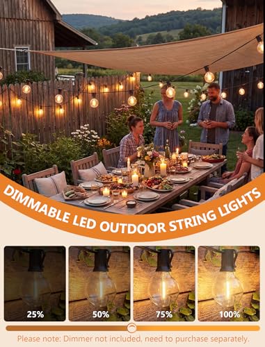 25Ft G40 LED Outdoor String Lights Waterproof with 27 Shatterproof Bulbs - color: Black, size: 25Ft