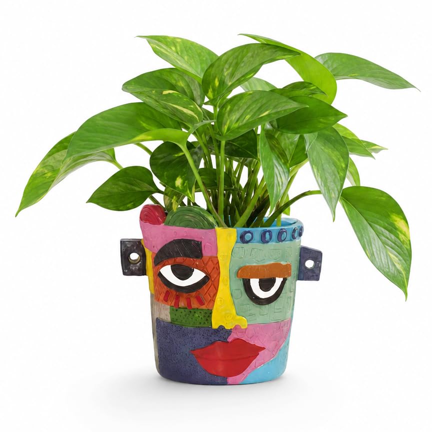 Abstract Face Planter Pot, Plant Pot for Indoor and Outdoor Plants - color: 4