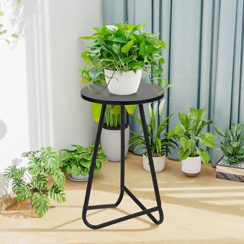 Plant Stand Indoor,Small Plant Table,Metal Display Rack,Black,20 In - color: Black, size: 20 In