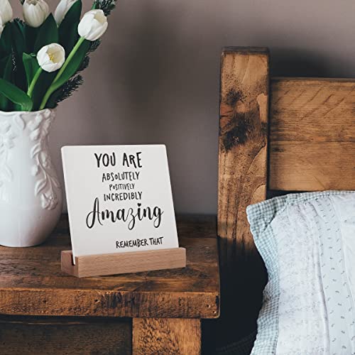 Inspirational Quotes Gifts for Women Friend Coworker Graduate Teen Girl Boy Valentines Day Birthday, Encouragement Decor Signs Cheer Up Hard Time Gifts for Her Him, You are Amazing Motivational Desk Plaque for Office Home - style: You‘re Amazing