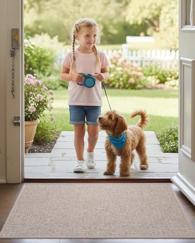 DEXI Thin Indoor Door Mat 24x36, Doormats Entrance, Beige - color: Beige, size: 24" X 36" (Rectangular)