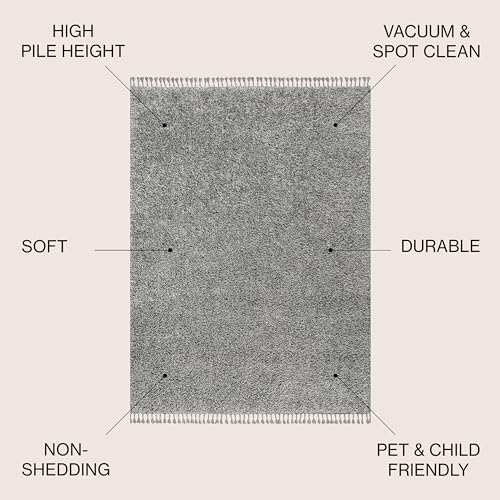 JONATHAN Y Mercer Shag Plush Tassel Charcoal Indoor Area Rug, 3x5, Contemporary, Modern, Easy-Cleaning for Living Room, Bedroom, Kitchen, Pet Friendly, Non-Shedding (MCR100B-3) - color: Charcoal With Tassel, size: 3'1" x 5' (Rectangular)