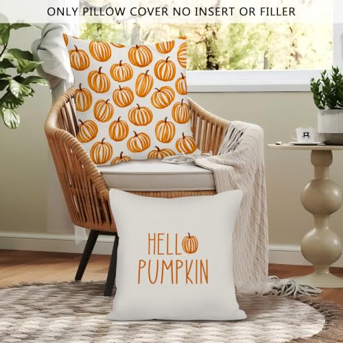 Vintage Fall Hello Pumpkin Throw Pillow Covers 18x18 Set of 2 - color: Hello Pumpkin1