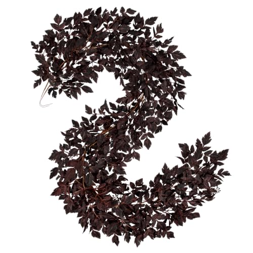 Hollyone 2 Pack Fall Garland 6FT Artificial Plum Cimicifuga Seeded Leaf Garlands Faux Purple Leaves Fall Foliage Autumn Garland for Mantle Fireplace Thanksgiving Halloween Home Indoor Outdoor Decor