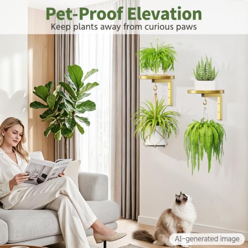 LASZOLA Plant Hanger Holder Window Shelf Wall Mounted Indoor, 2 Pcs Gold - color: Gold, size: 2