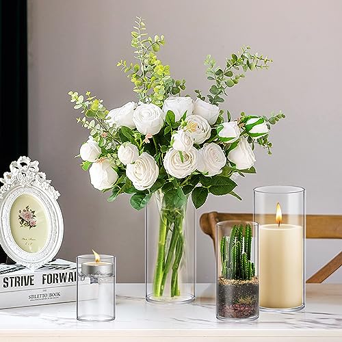 Homjoy Glass Cylinder Vase Set of 16 (2.17x4, 2.56x6, 3.15x8, 3.55x10 in) - size: 16 Pack (4,6,8,10 Inch )