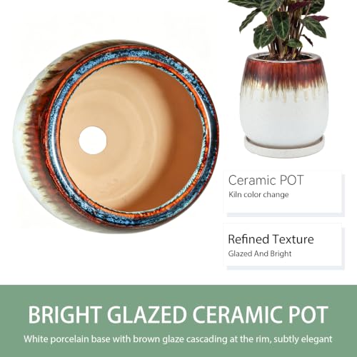 10.3 Inch Ceramic Glaze Plant Pot with Saucer, Flower Pots with Drainage Hole Mesh Net (Hemp-White) - color: Hemp White