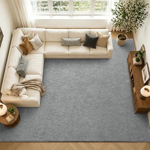 7x10 Large Grey Area Rug Washable Non-Slip Soft for Living Room Bedroom - color: 09 Grey, size: 7' x 10' (Rectangular)