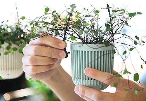 Melphoe 3.5‘’ Two-Piece Succulent Planters Pots with Drainage, Flexible Removable Handle, Flower Pots for Mini Plants Small Hanging Planter for Wall, Window (6 PCAK) - color: Multicolor