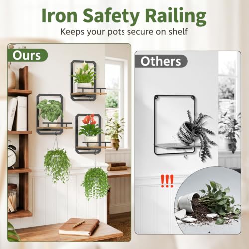 LASZOLA Plant Picture Frame Holder Shelf Wall Window Indoor, 3 Pcs Brown - color: Brushed Black+Brown, size: 3